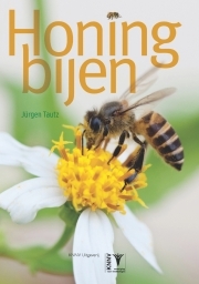 thumbnail - Honingbijen